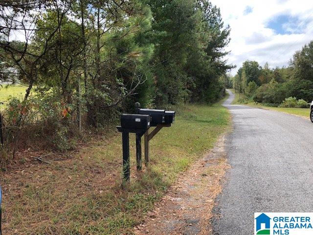 798 Starnes Chapel Road Blountsville, AL 35031 - Photo 21 of 22