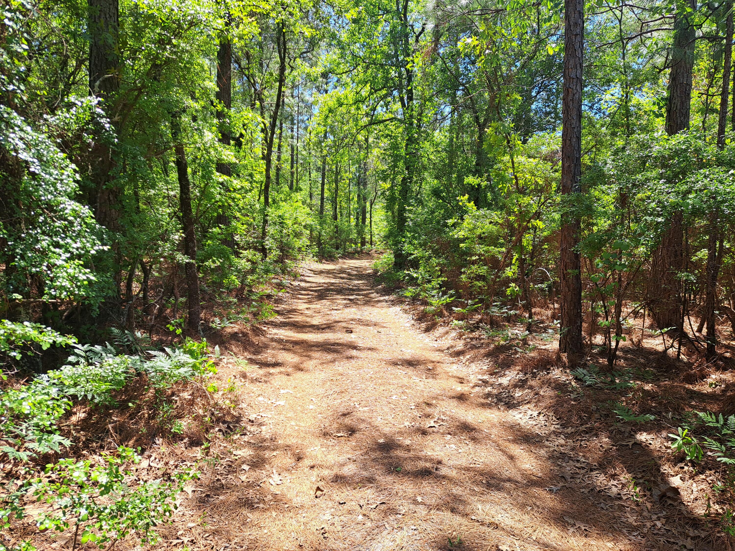270 Migrant Camp Road Batesburg, SC 29006 - Photo 29 of 30