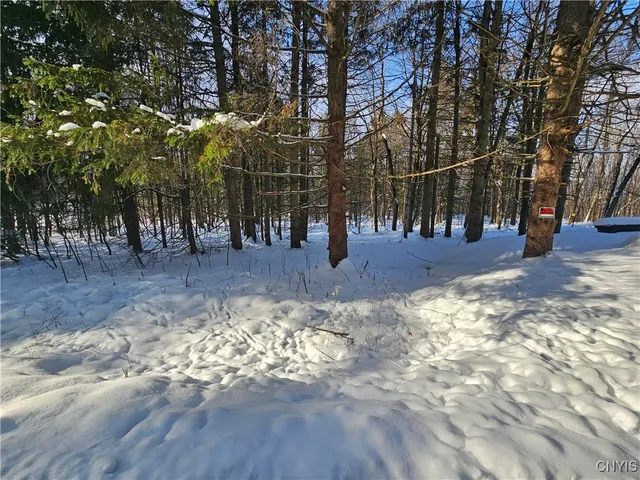 $255,000 | 344 Brown Road, Frankfort, NY 13340