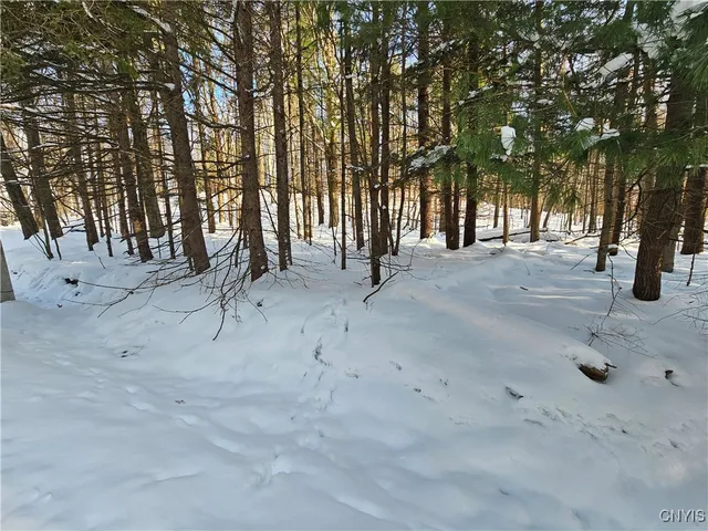 $255,000 | 344 Brown Road, Frankfort, NY 13340