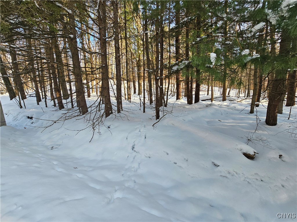 344 Brown Road Frankfort, NY 13340 - Photo 28 of 33