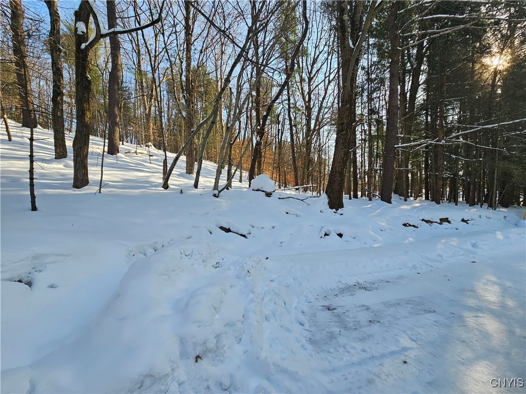 344 Brown Road Frankfort, NY 13340 - Photo 29 of 33