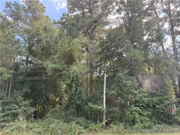 $33,500 | Lot 1 East Williams Street, Autryville, NC 28318