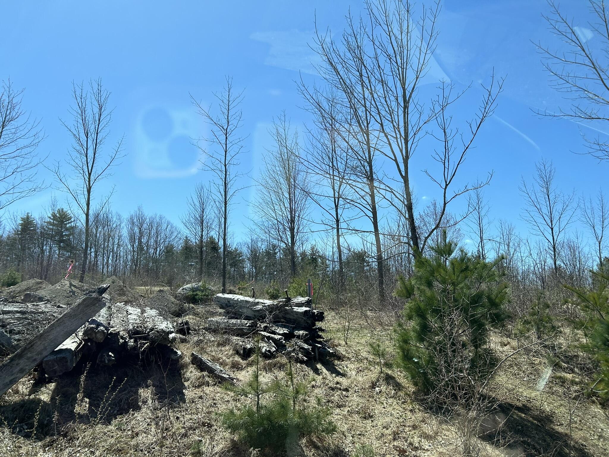 Lot 5 Fenderson Road Parsonsfield, ME 04047 - Photo 5 of 5 IMG_4325
