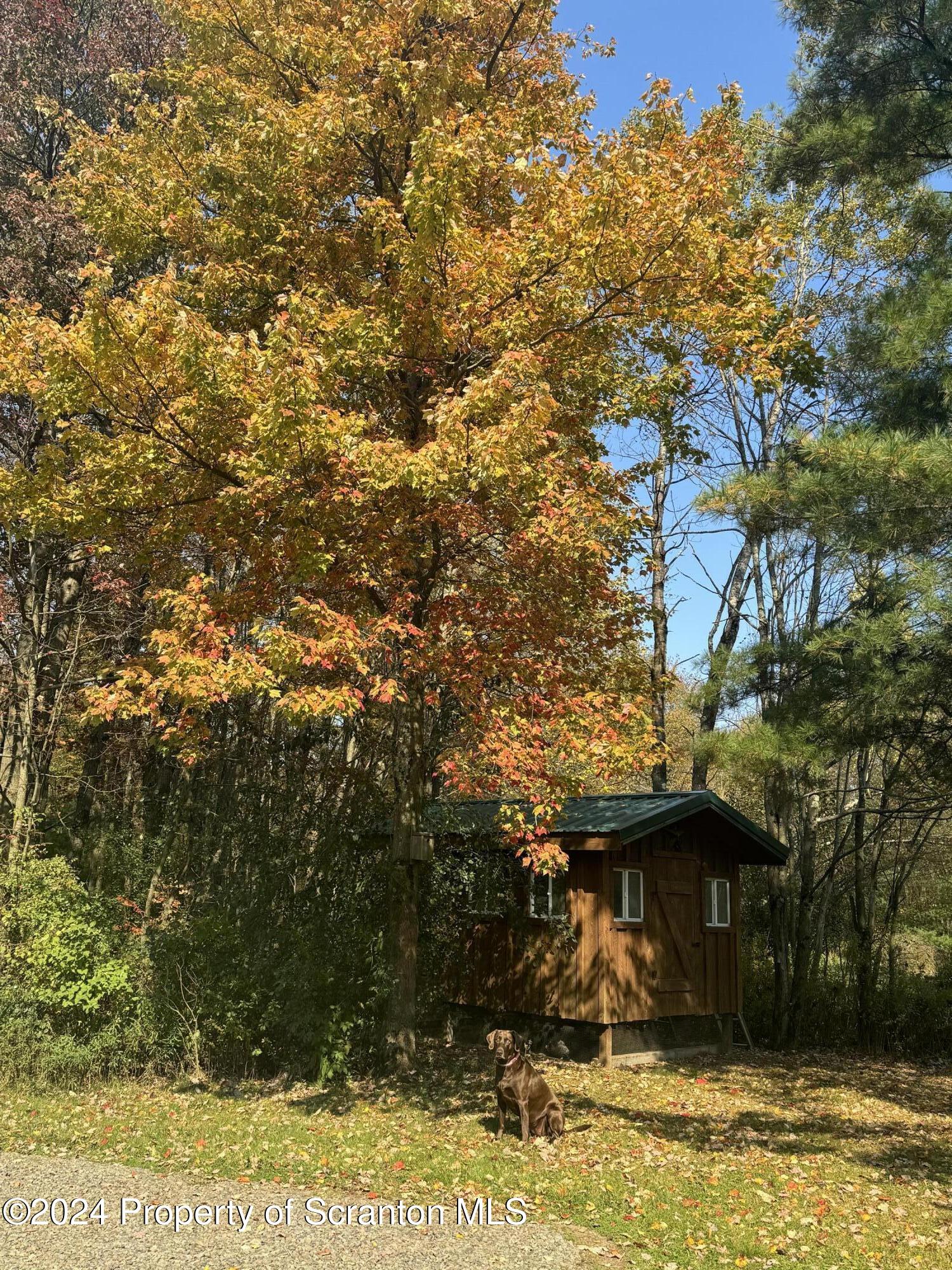 3365 Lake Of Meadows Road Little Meadows, PA 18830 - Photo 34 of 36 Chicken coop picture 2