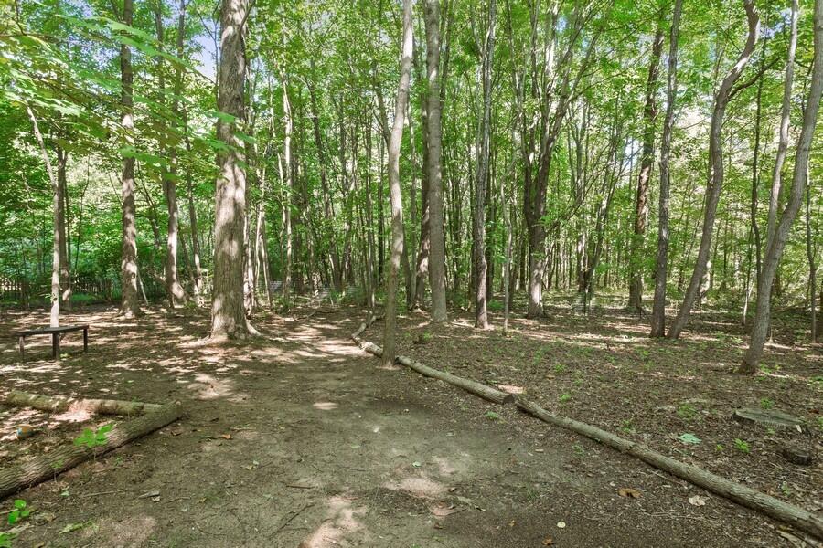 6887 Youngren Road Three Oaks, MI 49128 - Photo 50 of 51 Back Yard