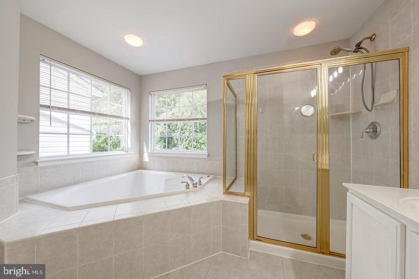 43122 Forest Edge Square Broadlands, VA 20148 - Photo 17 of 24 a spacious bathroom with a shower and a bathtub