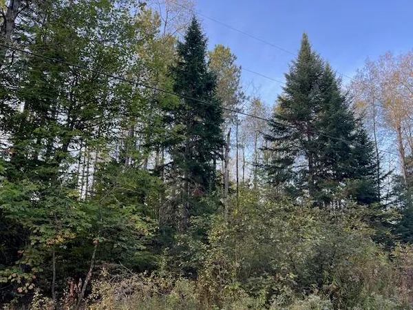 $64,500 | 249 Madawaska Road, New Sweden, ME 04762