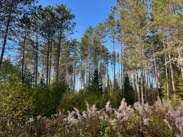 $64,500 | 249 Madawaska Road, New Sweden, ME 04762