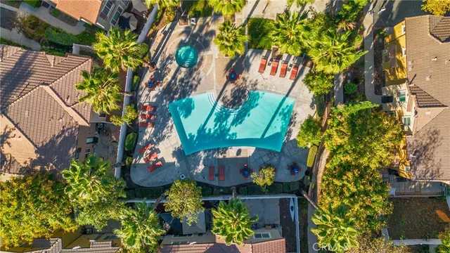 a view of a bunch of flowers