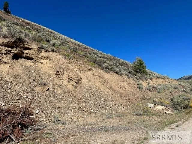 $125,000 | Tbd Agency Creek Road, Lemhi, ID 83465