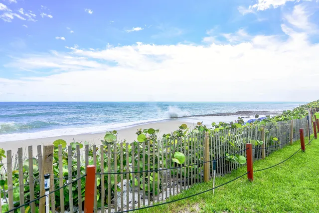 a view of a garden with plants