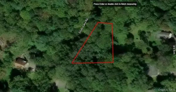 a view of a forest with trees