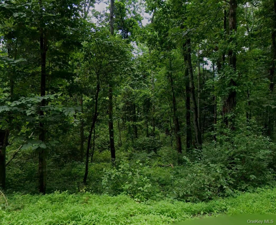 0 Silverlake Road Rhinebeck, NY 12572 - Photo 2 of 2