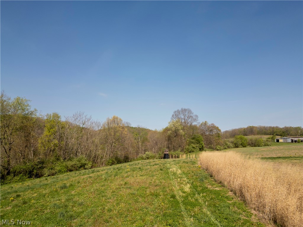 80960 Burkhart Road Tippecanoe, OH 44699 - Photo 29 of 50