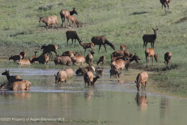 a view of an outdoor space