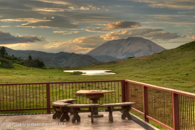 a view of a big yard with potted plants and large tree