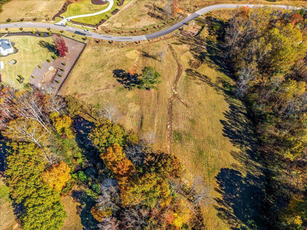 1053 Homestead Trail Milton, GA 30004 - Photo 11 of 13 a view of a yard