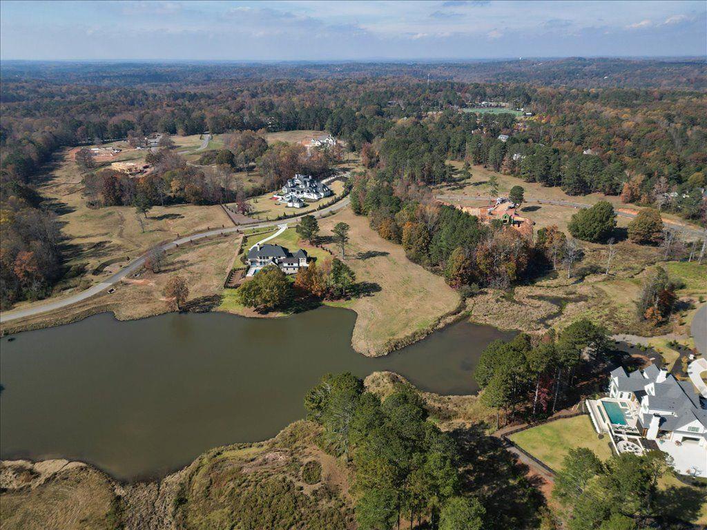 1053 Homestead Trail Milton, GA 30004 - Photo 12 of 13 an aerial view of a house with a yard