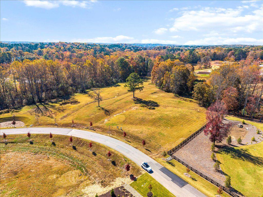 1053 Homestead Trail Milton, GA 30004 - Photo 6 of 13 a view of an ocean