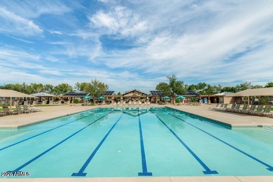 3467 South Bandit Road Gilbert, AZ 85297 - Photo 34 of 49 pool by clubhouse