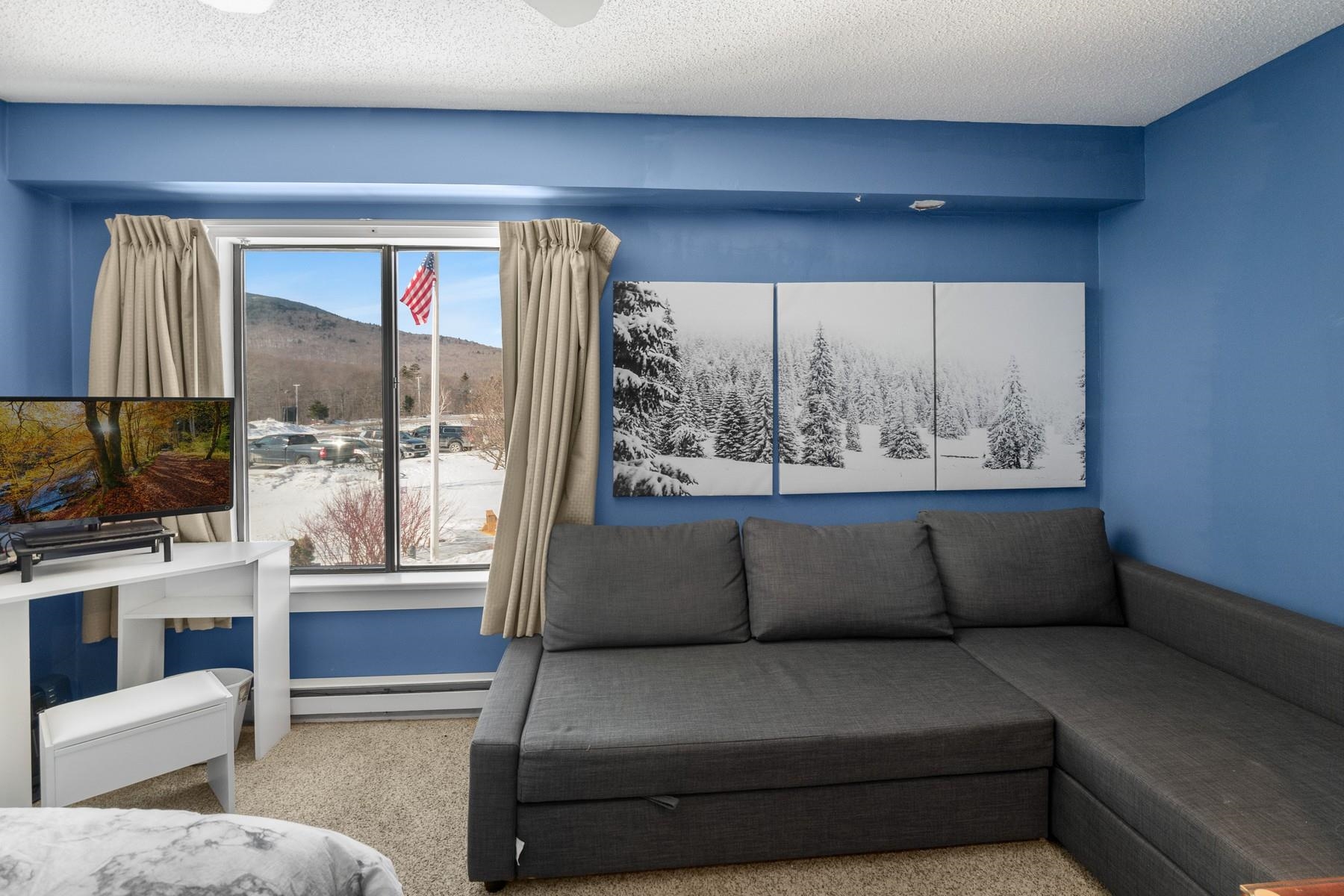 133 East Mountain Road, Unit 3D23 Killington, VT 05751 - Photo 5 of 17 Gallery Image 5