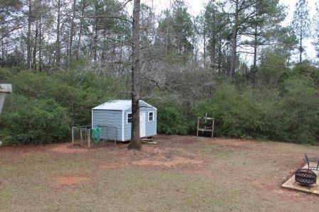 222 Reedy Creek Road Forsyth, GA 31029 - Photo 15 of 15 a view of a house with large trees