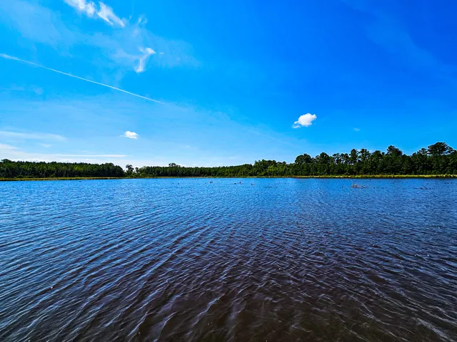 $5,334,000 | 565 Hidden Lake, Walterboro, SC 29488