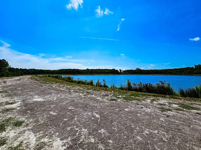 $5,334,000 | 565 Hidden Lake, Walterboro, SC 29488