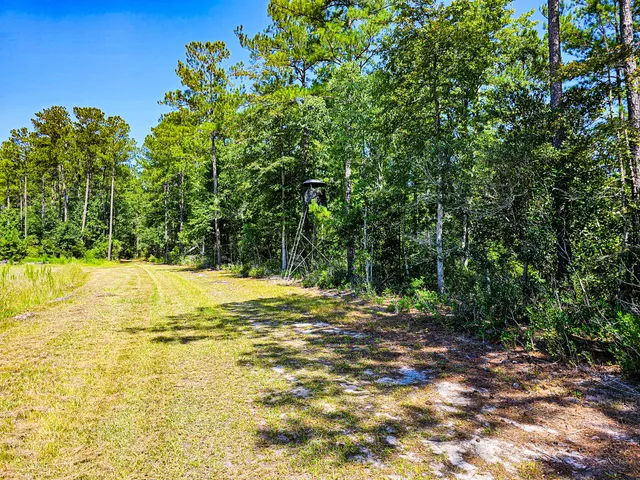 $5,334,000 | 565 Hidden Lake, Walterboro, SC 29488