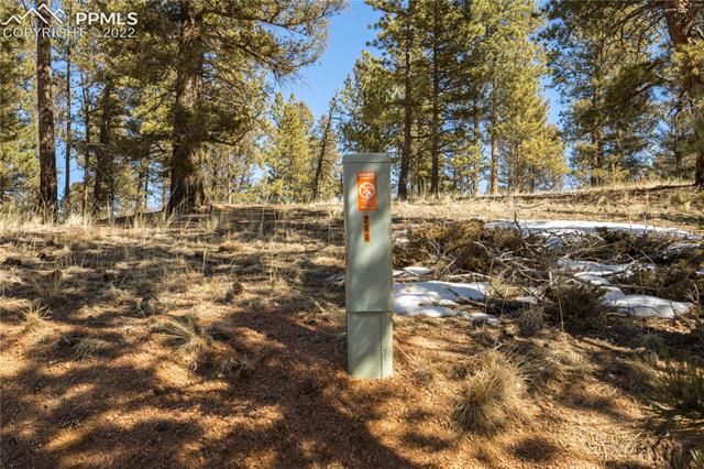 244 Tidi Road Florissant, CO 80816 - Photo 45 of 50