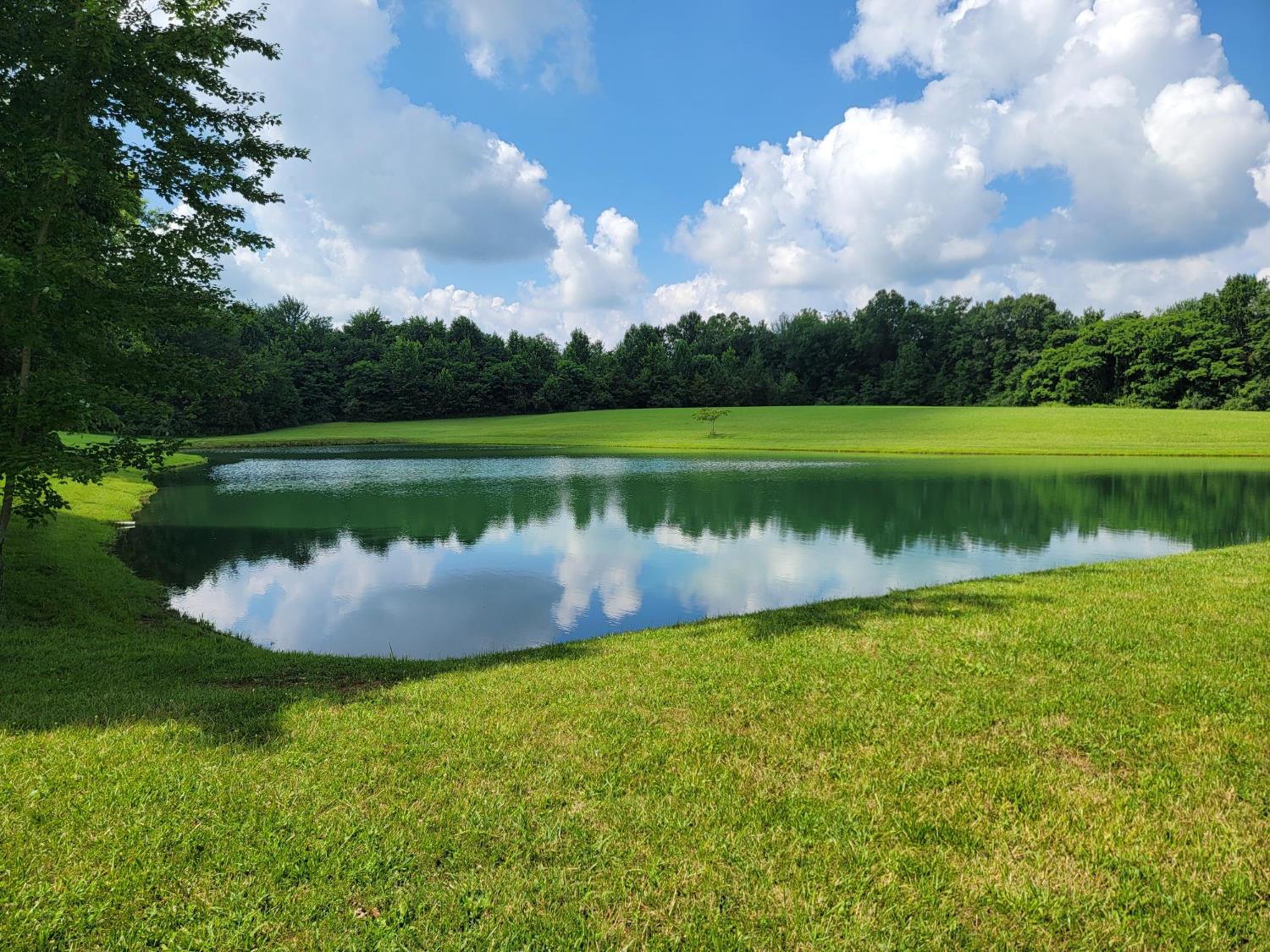 23343 Weisburg Road Sunman, IN 47041 - Photo 54 of 62