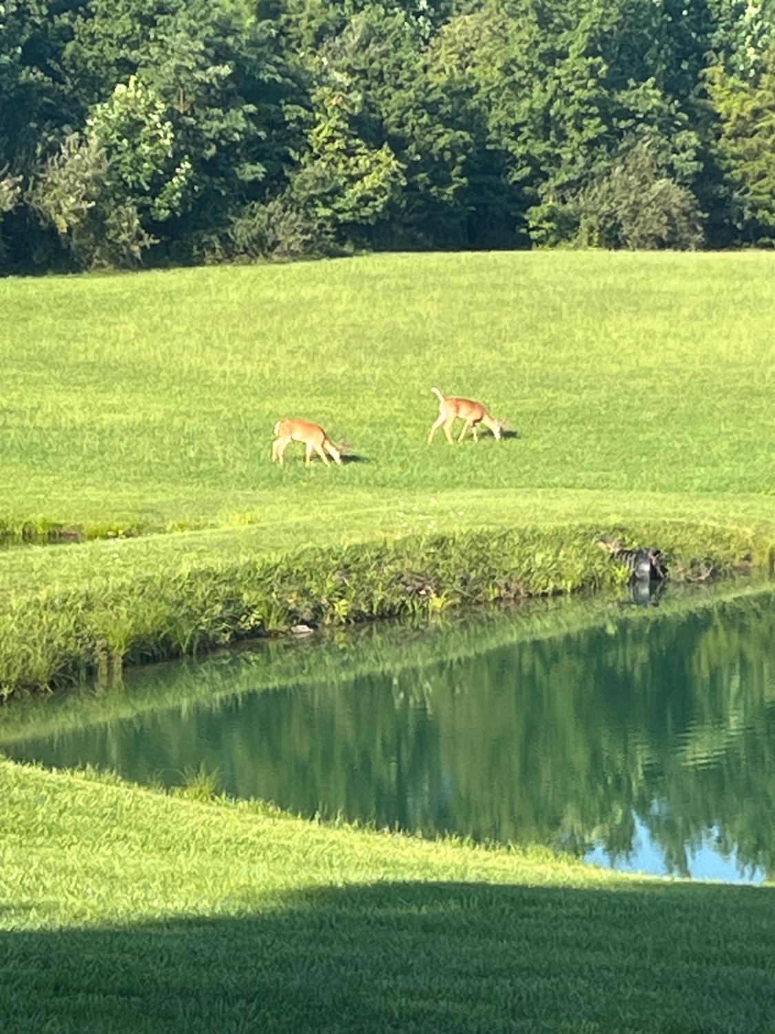 23343 Weisburg Road Sunman, IN 47041 - Photo 58 of 62