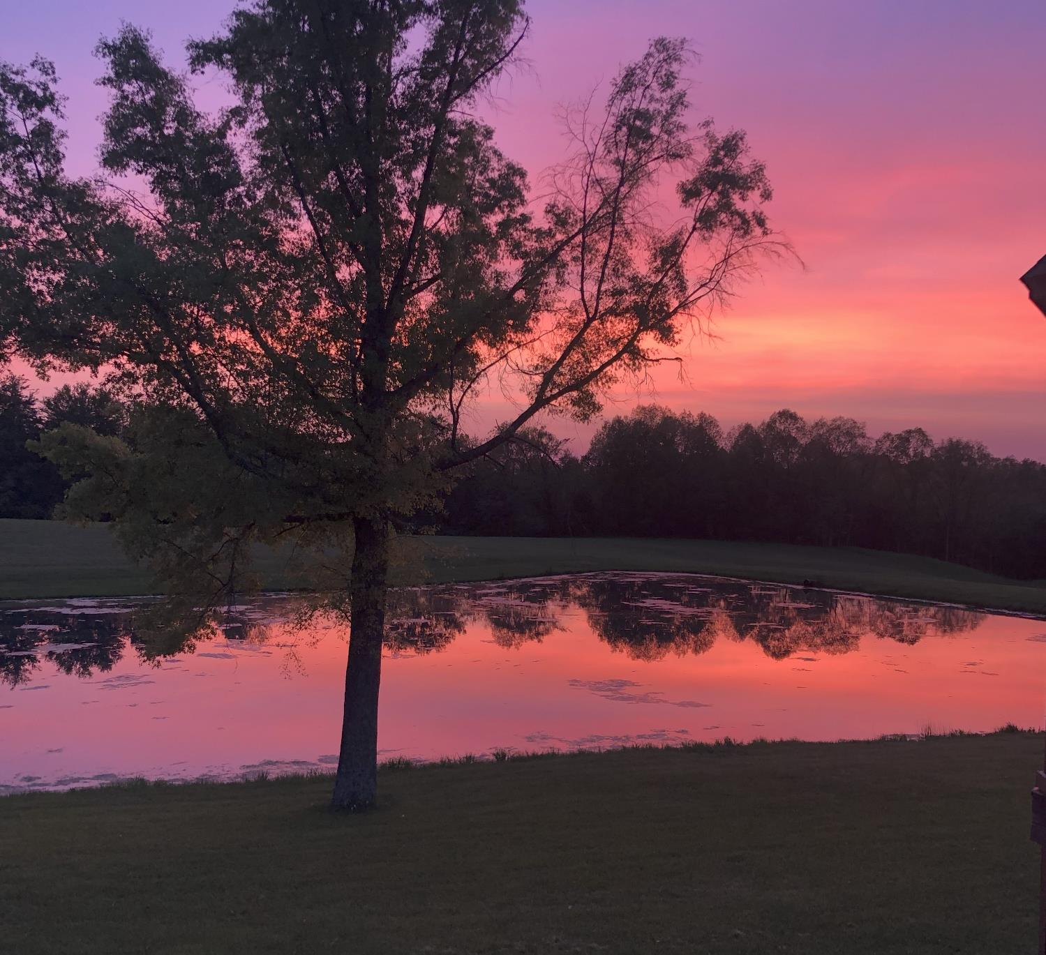 23343 Weisburg Road Sunman, IN 47041 - Photo 59 of 62