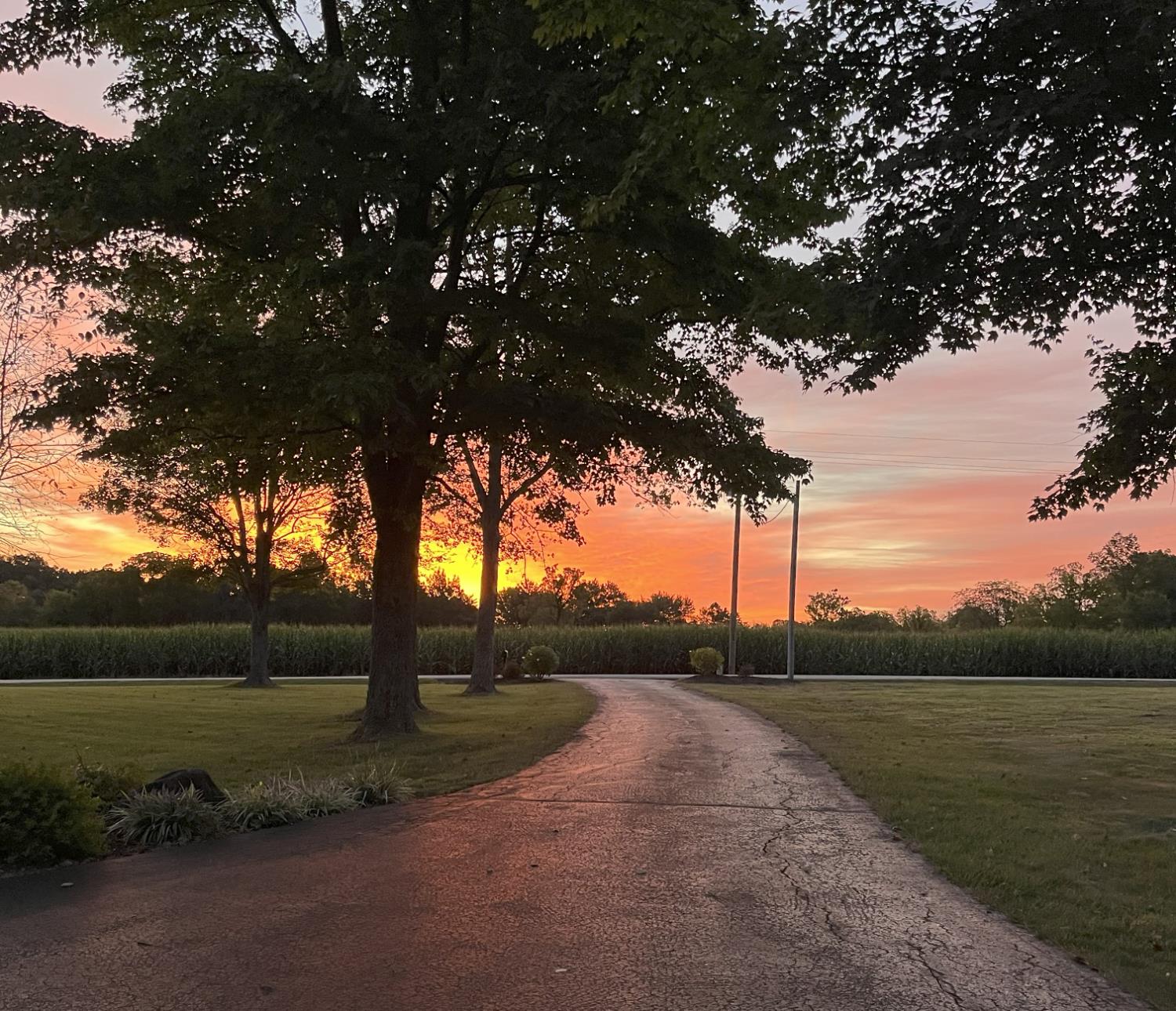 23343 Weisburg Road Sunman, IN 47041 - Photo 62 of 62