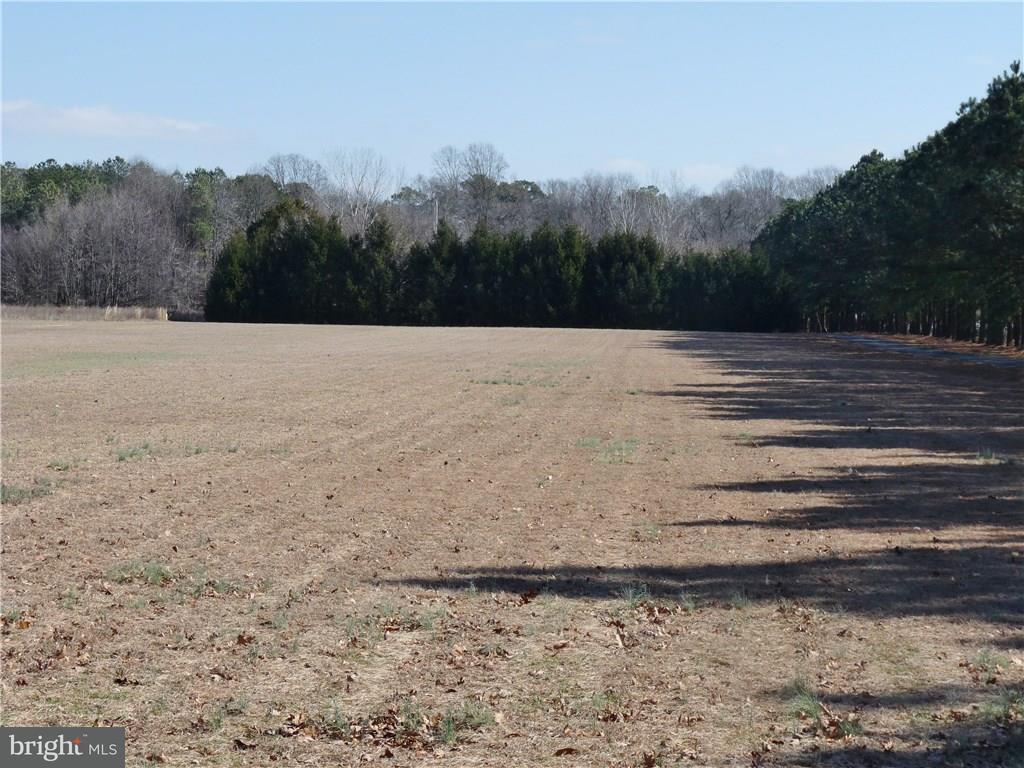 32083 Mt Pleasant Road Laurel, DE 19956 - Photo 26 of 26 Gallery Image 26