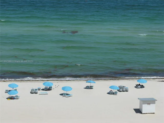 a living room with couches and a potted plant on a table
