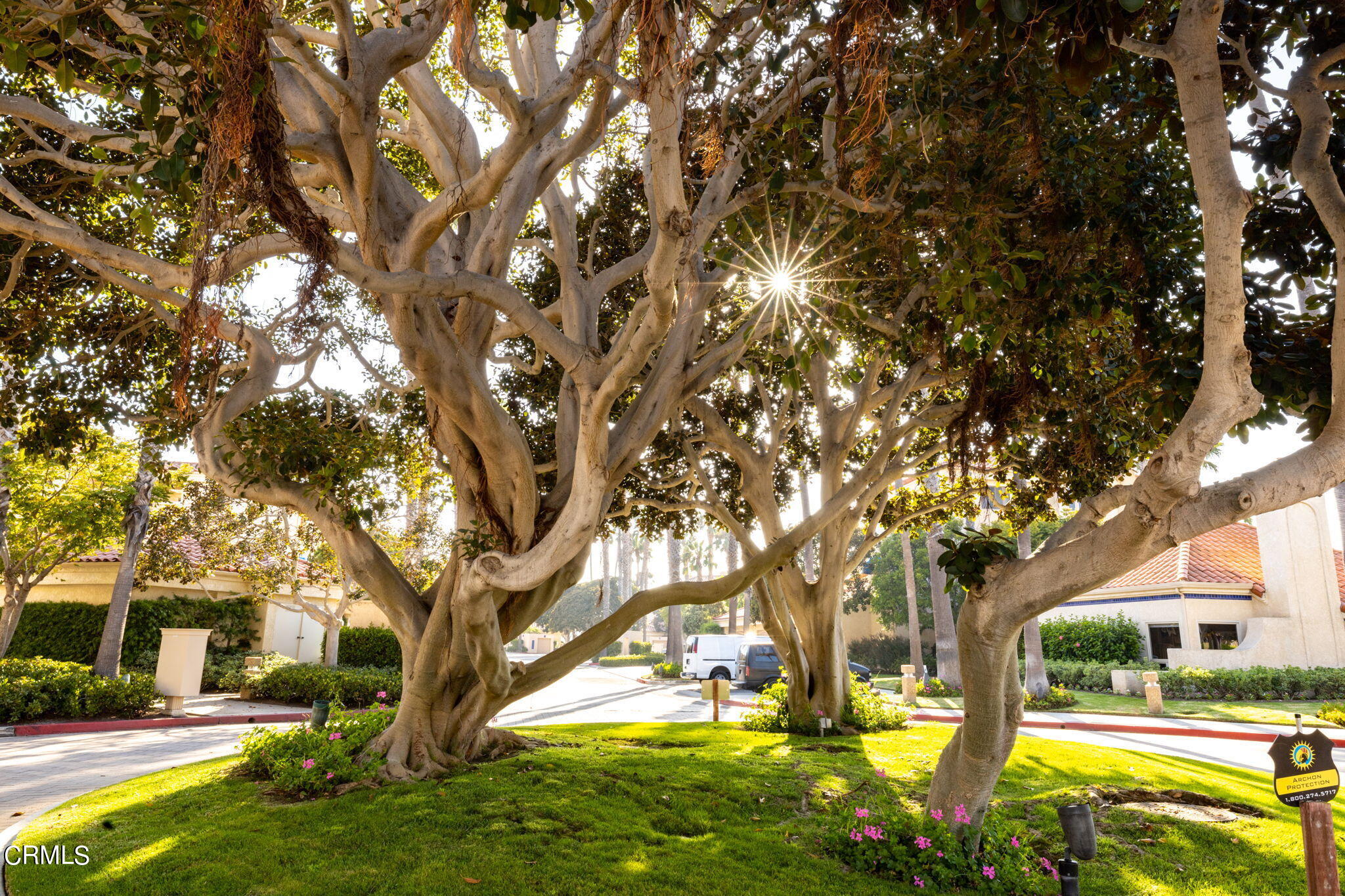 4212 Harbour Island Lane Oxnard, CA 93035 - Photo 41 of 48 a view of yard with swimming pool