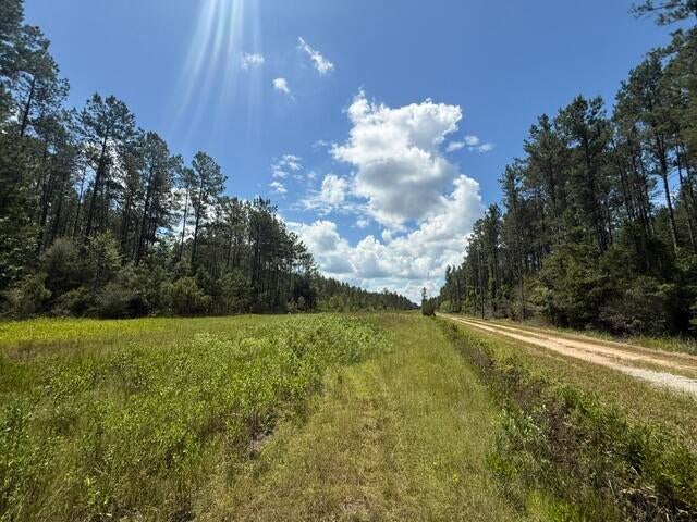 0 Elmer Hamilton Road Moss Point, MS 39562 - Photo 8 of 22 Gallery Image 8