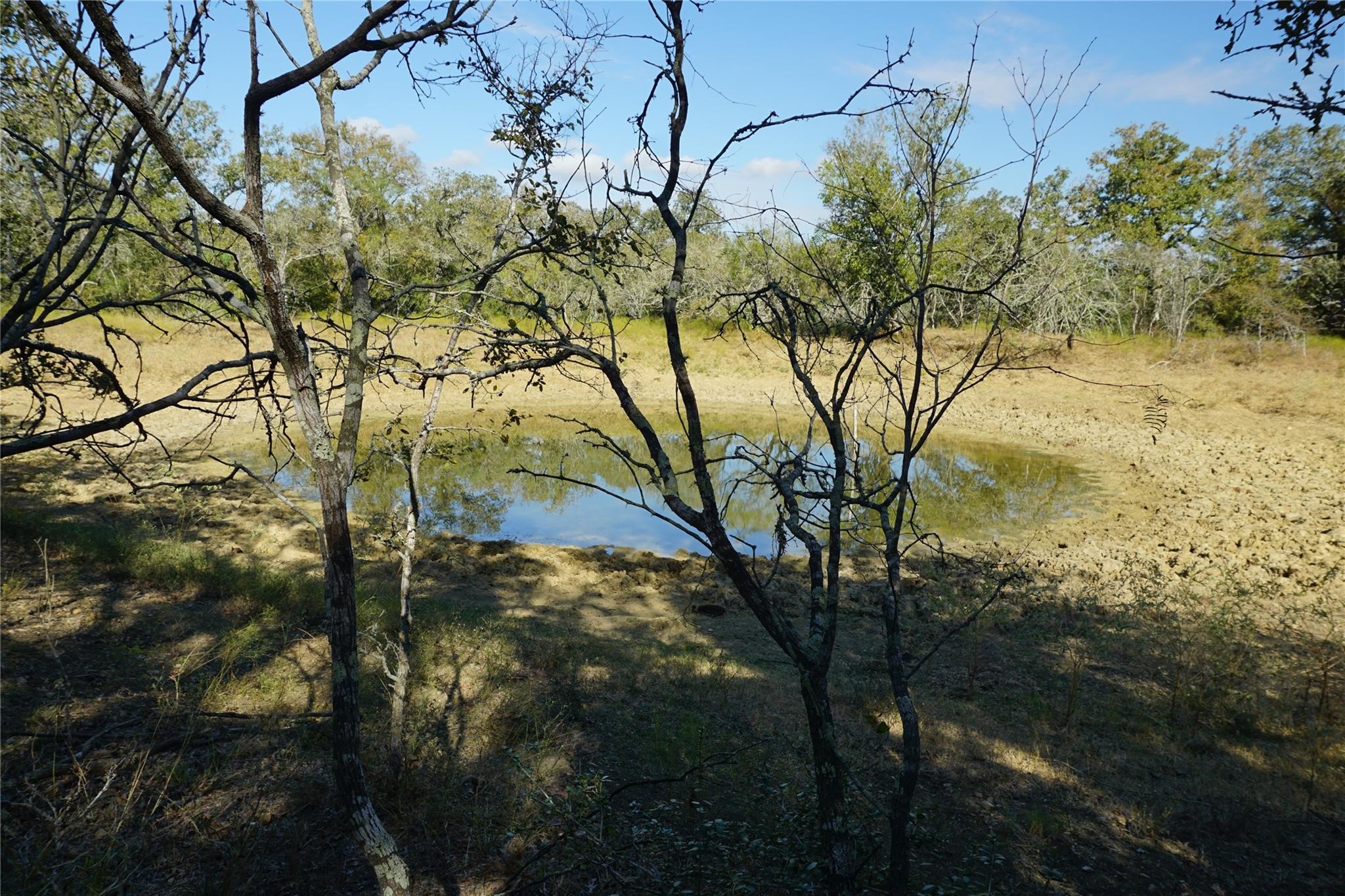 0 Old Seguin Luling Road Kingsbury, TX 78638 - Photo 20 of 27 a view of a yard
