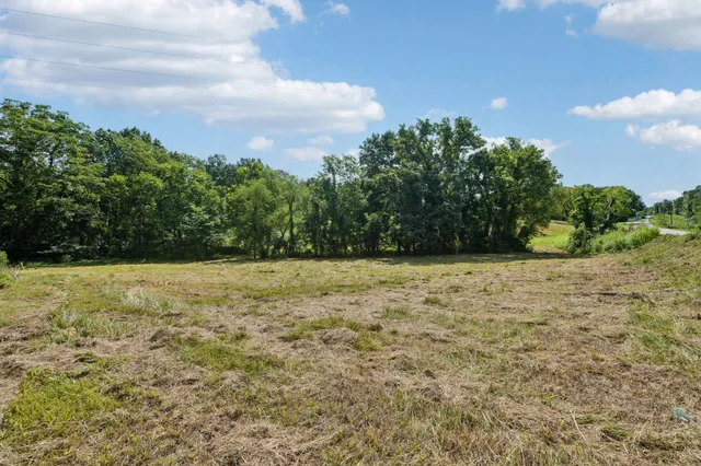 a view of a field with trees in background