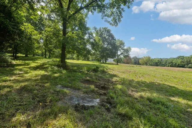 a view of an outdoor space and yard