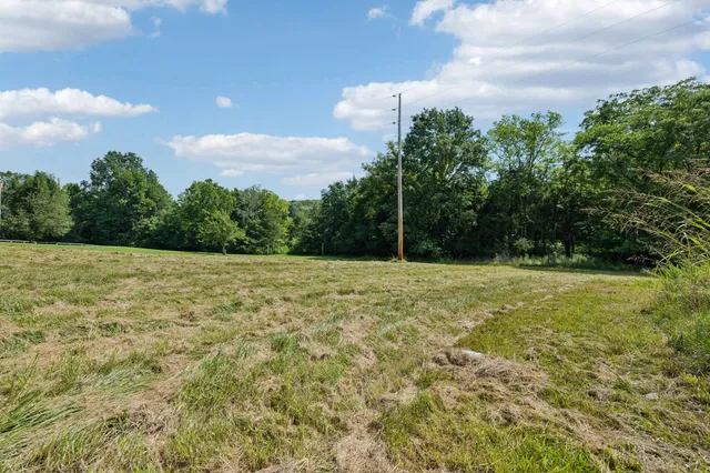 a view of a field with an trees