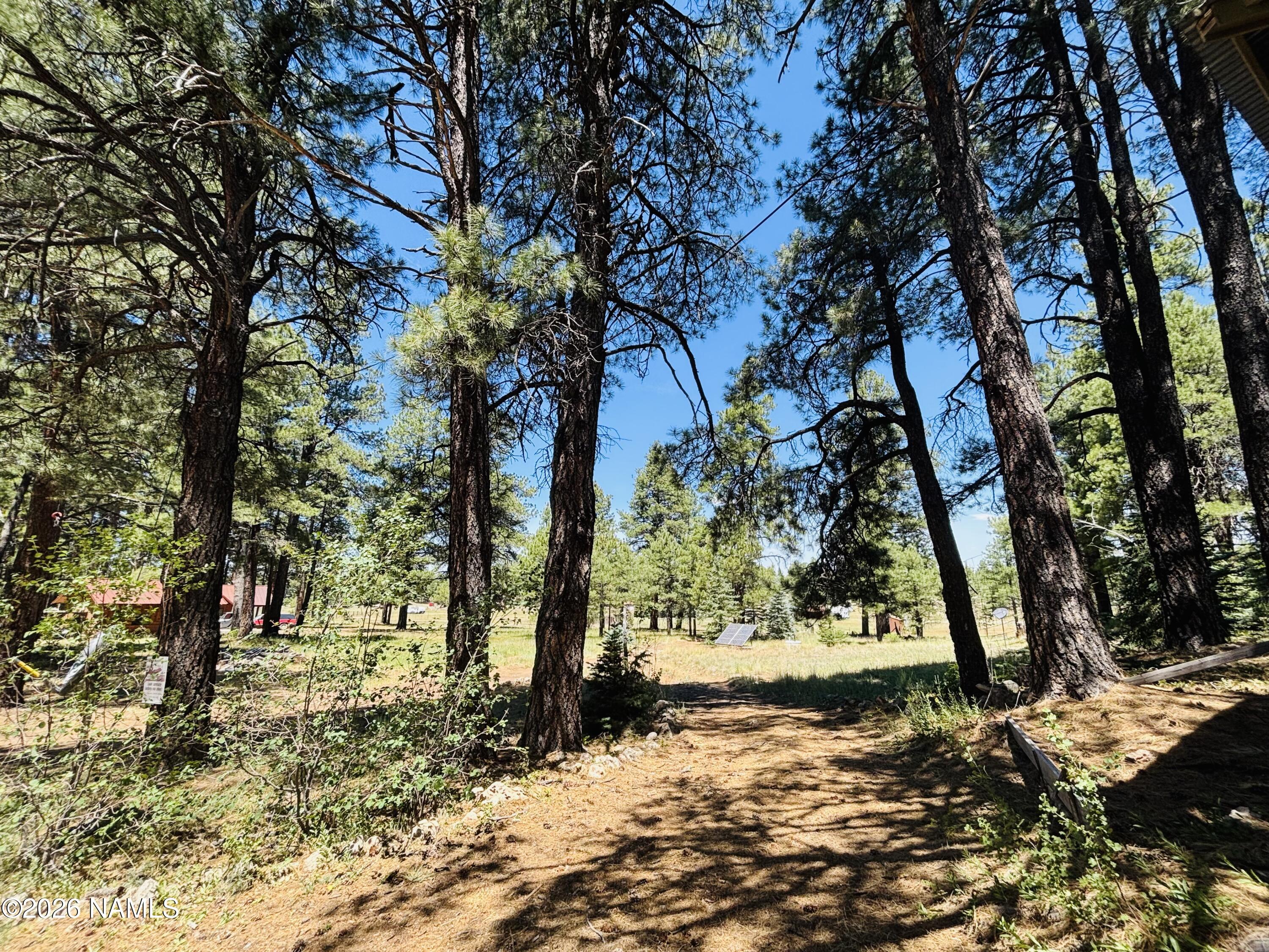 5577 Antelope Road Flagstaff, AZ 86005 - Photo 26 of 30 IMG_5948