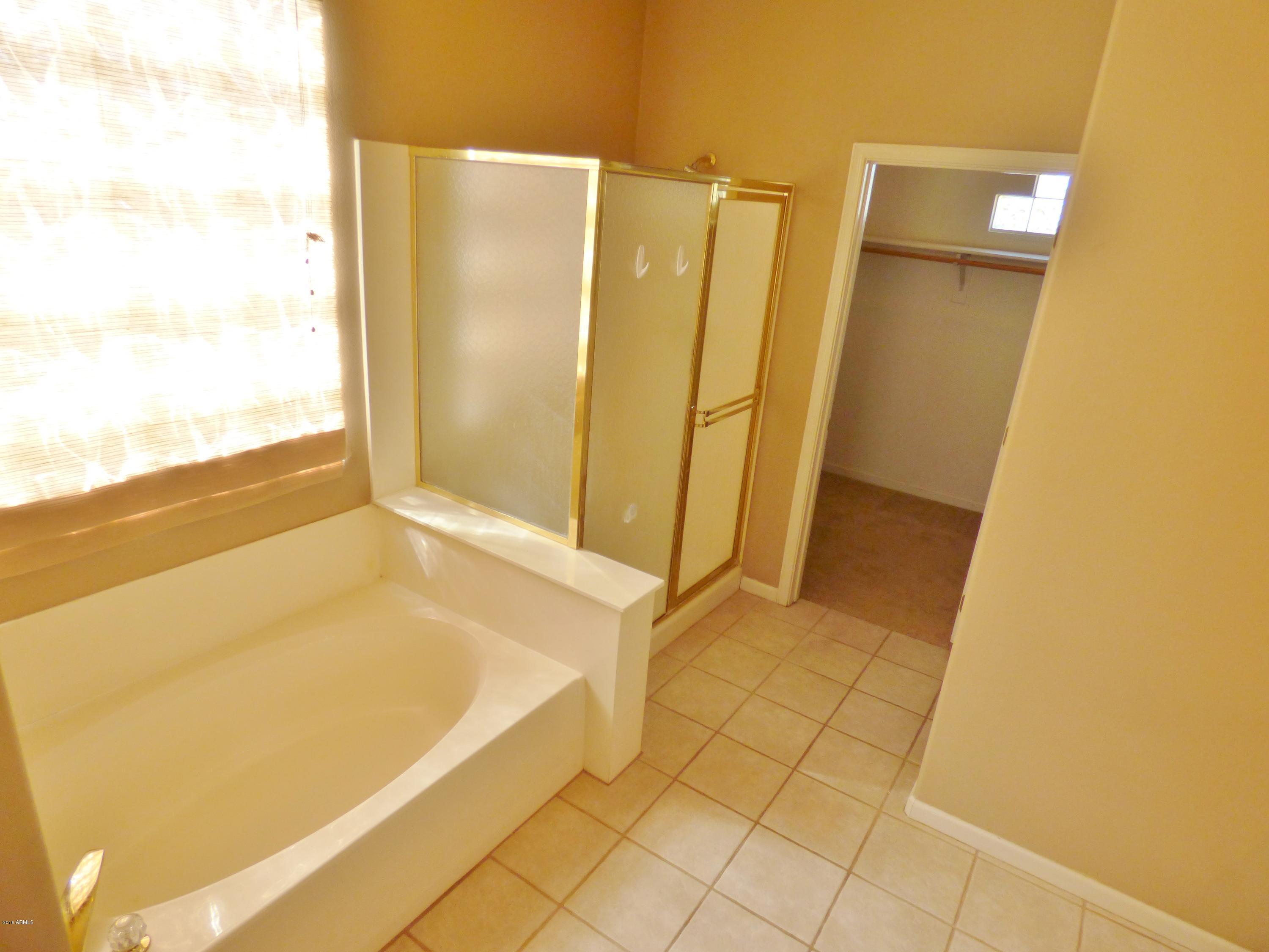13219 West Granada Road Goodyear, AZ 85395 - Photo 10 of 44 P1110533