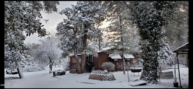 a view of a house with a yard and large tree