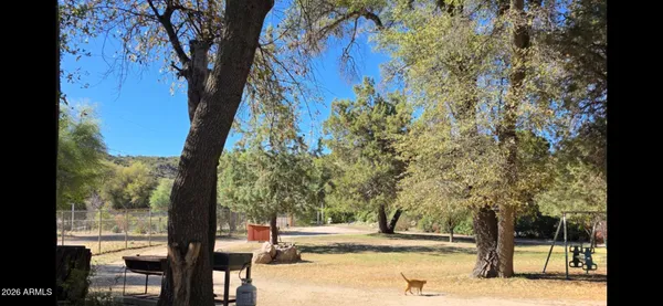 a view of a yard with plants and trees