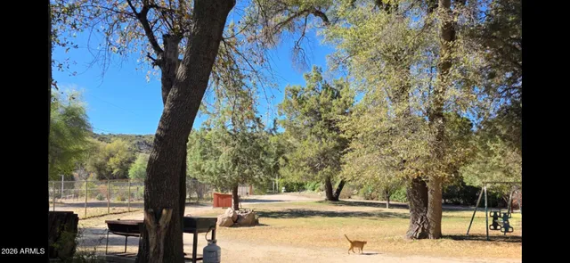 a view of a yard with plants and trees