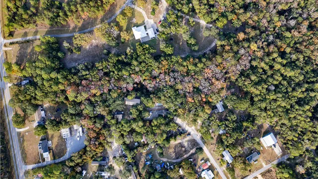 a view of backyard with tree