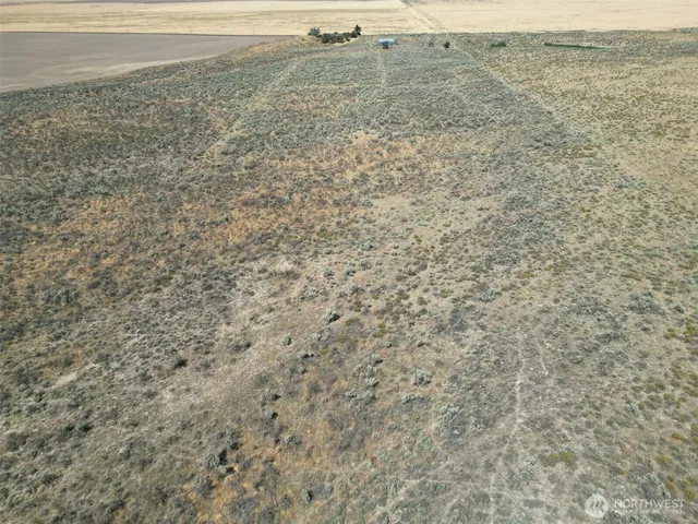 a view of an ocean beach